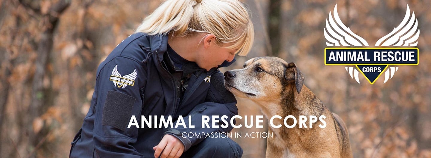 Animal Rescue Corps