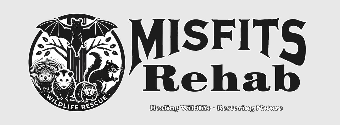 Misfits Rehab