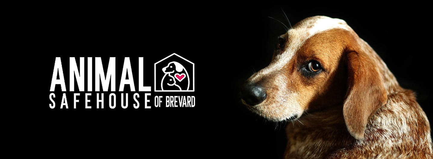 Animal Safehouse Program